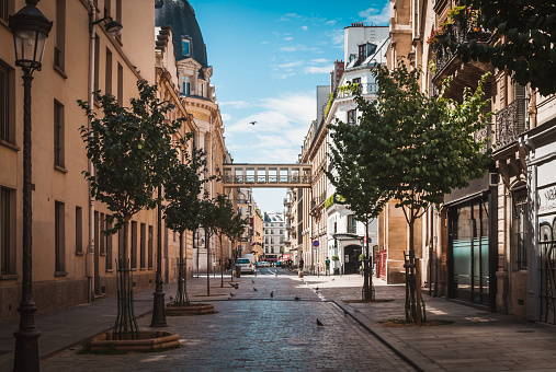 Street of Paris to the Galeries Lafayette in summer