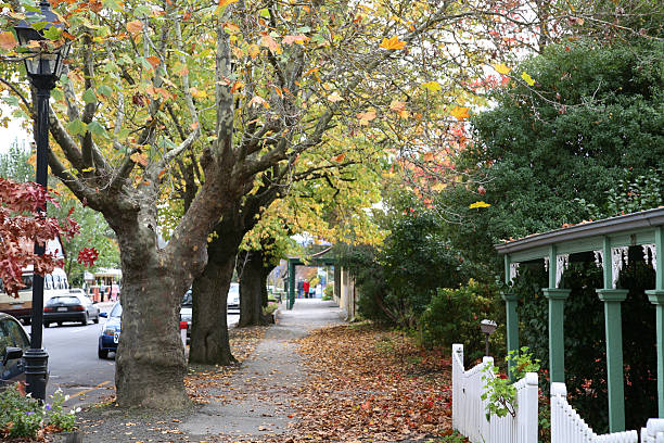 Street scene in fall stock photo