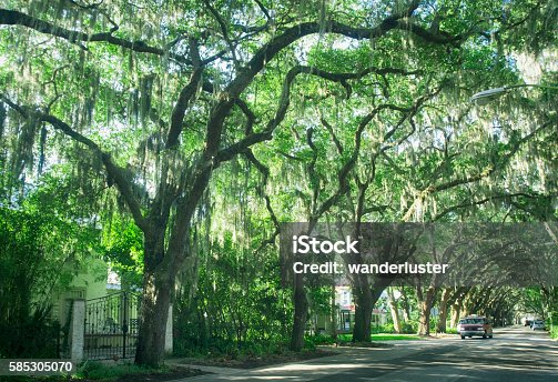 istock Street with live oaks in St. Augustine, Florida 585305070