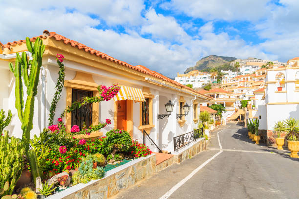 Street with typical Canary style holiday apartments in Costa Adeje, Tenerife, Canary Islands, Spain stock photo