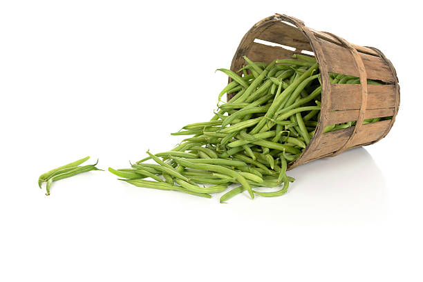 String Beans in a Tipped Rustic Basket Green string beans spill out of a rustic basket on 255 white. runner bean stock pictures, royalty-free photos & images