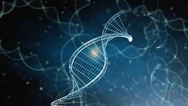 DNA Strings on dark background Computer generated image illustrating an exploding DNA String. This is a fictional science 3d illustration showing DNA. helix model stock pictures, royalty-free photos & images