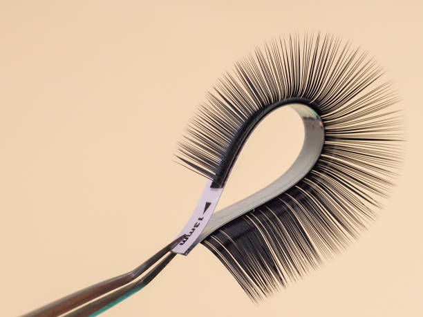 strip for eyelash extensions on a uniform tone, twisted, held with tweezers. Industry artificial eyelashes, eyelash extensions, beauty stock photo