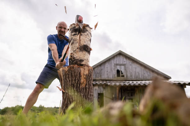 Strong man lumberjack choping wood for the winter, with a large steel ax, in the village, against the background of an old barn. stock photo