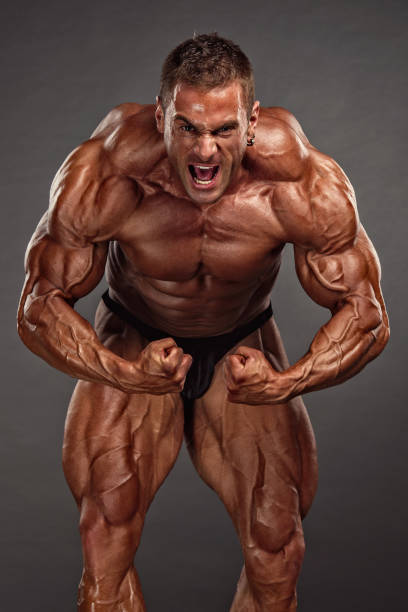 Best Macho Body Building Human Muscle Men Stock Photos, Pictures