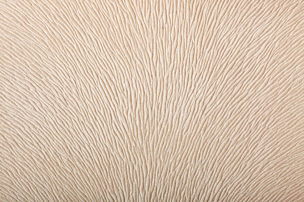 Structured background creme-colored stock photo