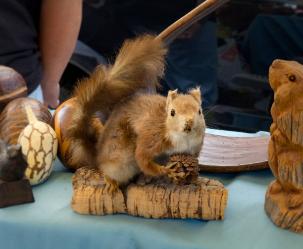 Stuffed squirrel on flea market Vintage Stuffed scared squirrel and wooden rabbit mate on flea market dead squirrel stock pictures, royalty-free photos & images