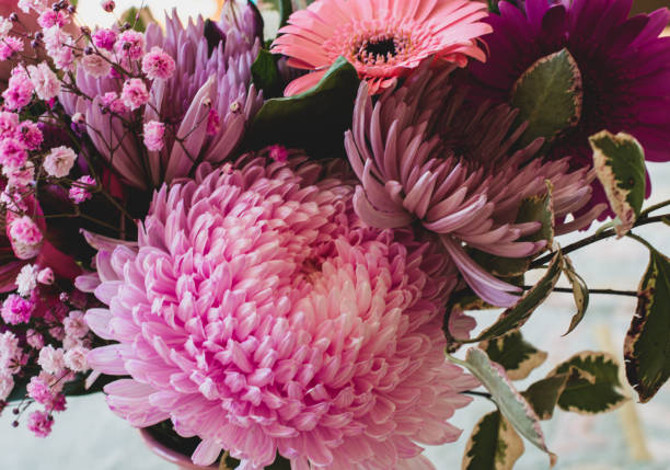Stunning pink dahlia A magnificent pink dahlia is the centrepiece of a beautiful punch of pink and lavendar coloured flowers. This would be a lovely florist photo or could be used for decorative purposes. dahlia stock pictures, royalty-free photos & images
