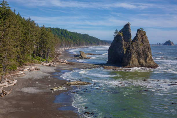 Stunning sea stacks at Rialto Beach in Olympic National Park in Washington state Stunning sea stacks at Rialto Beach in Olympic National Park in Washington state olympic national park stock pictures, royalty-free photos & images