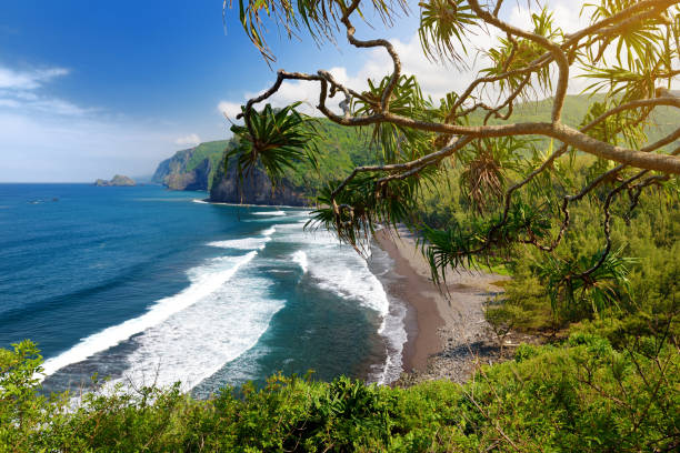 Stunning view of rocky beach of Pololu Valley, Big Island, Hawaii stock photo