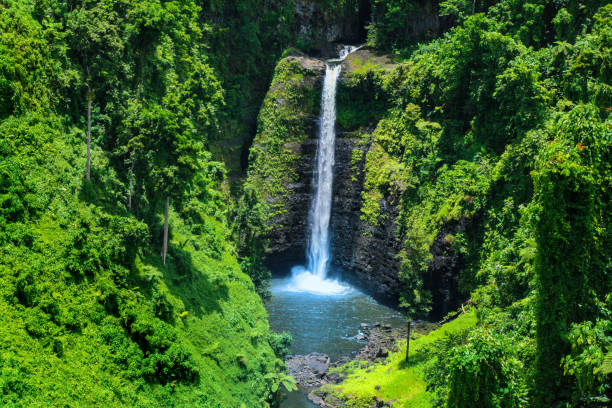 Stunning view of wild jungle waterfall with pristine water, Sopoaga Tropical Waterfall Samoa close up, Upolu Island, Western Samoa, Oceania Stunning view of wild jungle waterfall with pristine water, Sopoaga Tropical Waterfall Samoa close up, Upolu Island, Western Samoa, Oceania apia samoa stock pictures, royalty-free photos & images