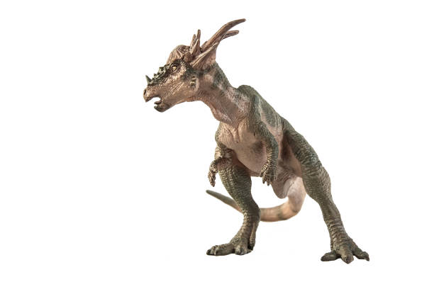 Stygimoloch Dinosaur on white background Clipping path stock photo