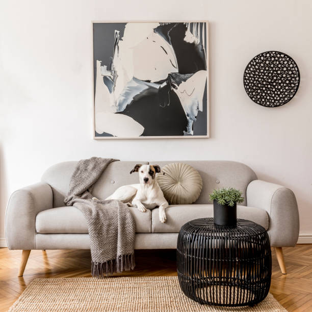 Stylish and scandinavian living room interior of modern apartment with gray sofa, pillows, plaid, plants, design commode, abstrac paintings on the wall. Modern home decor. Dog is lying on the sofa. Interior design of living room at nice scandinavian apartment with stylish furnitures and elegant accessories. Modern home decor. Template. scandinavia photos stock pictures, royalty-free photos & images