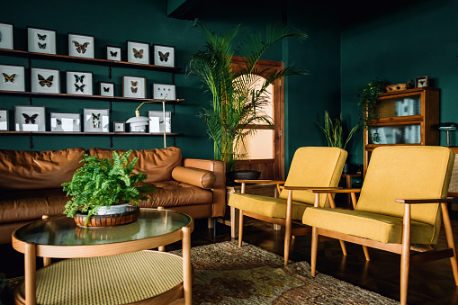 A stylish living room interior with brown and yellow coloured furniture and wooden elements with dark green coloured wall. Decorated with plants and butterfly specimen
