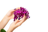 Stylish trendy purple female manicure. Woman hands are holding orchid flowers, isolated omage