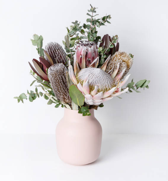 White protea wattle wax native bunch artificial flower australian native bouquet 