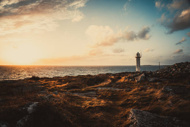 subbe lighthouse during golden sunset in southern varberg, sweden. - varberg bildbanksfoton och bilder