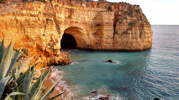 Succulent plant and sea cave Algarve seacoast Carvoeiro Portugal stock photo