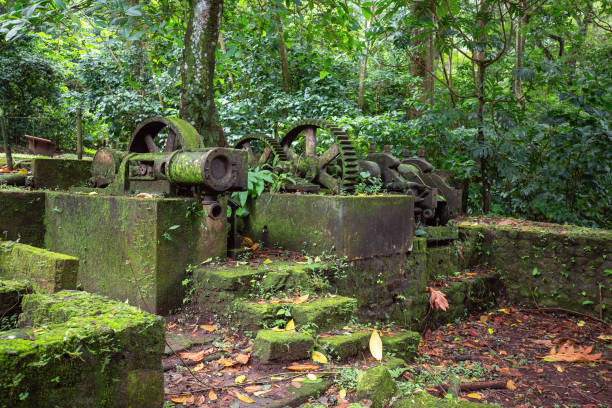 Sugar cane factory ruins in Martinique stock photo