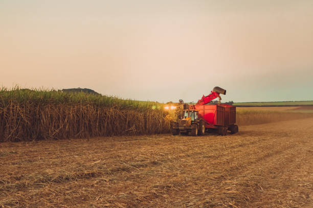 agricultural productivity growth