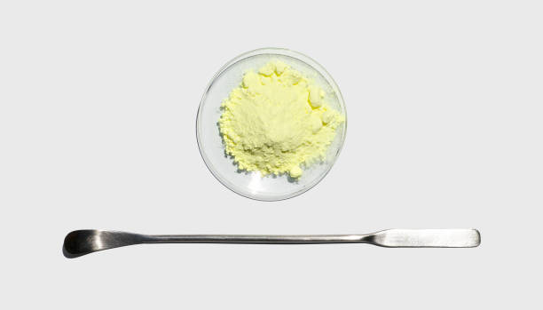 Sulfur Powder in chemical watch glass placed next to the stainless spatula on laboratory table. stock photo