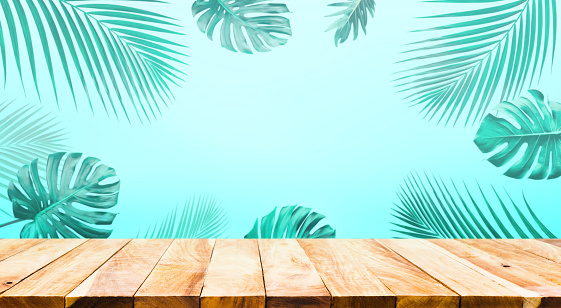 Summer and nature product display with wood table counter on palm leaf in vibrant color background.For key visual layout