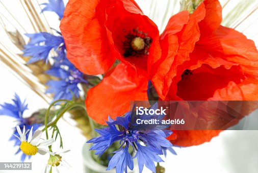 istock Summer bouquet 144219132