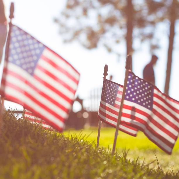 Summer Flags Warm summer light backlighting multiple American flags. free jpeg images stock pictures, royalty-free photos & images