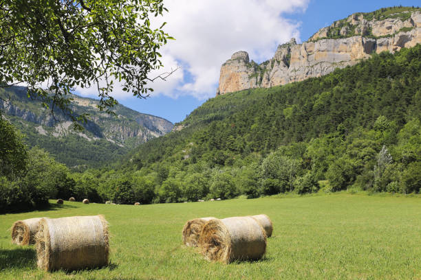 Summer French landscape. Vercors mountain range. Round haystack  and mountains stock photo
