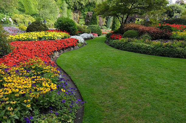 summer garden - formele tuin stockfoto's en -beelden