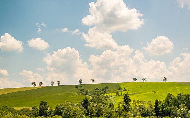 Summer green fields landscape with trees in Slovakia stock photo
