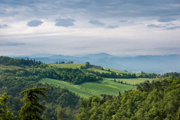 Summer Hillside in Bologna, Italy Softly rolling green hills in Bologna as seen from the church of the Madonna di San Luca emilia romagna stock pictures, royalty-free photos & images