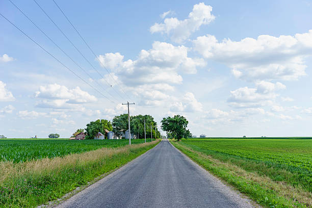 Summer landscape in the American Midwest Rural road with farmland and farm buildings either side of it, June in north-central Illinois, USA telephone pole photos stock pictures, royalty-free photos & images