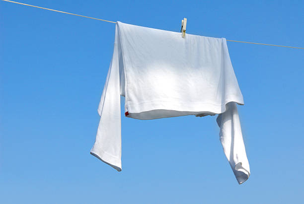 Summer laundry stock photo