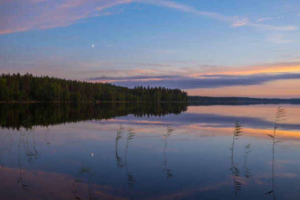 Summer night lake stock photo