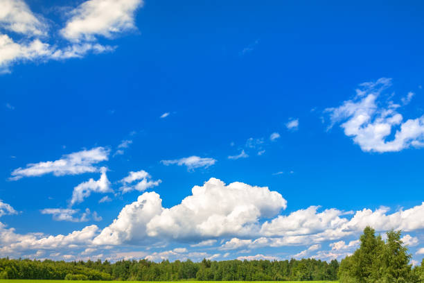 beautiful summer rural landscape with a blue sky and white clouds and...