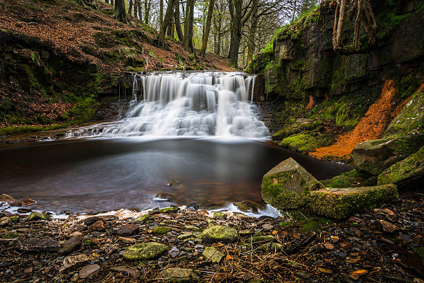 Summer Silky Flowing Waterfall In The Lancashire Woodland. A long exposure photograph of a summer silky flowing waterfall located in the Roddlesworth forest, in Bolton, Lancashire. The Roddlesworth forest is a beautiful location with some tranquil scenic nature views. lancashire stock pictures, royalty-free photos & images