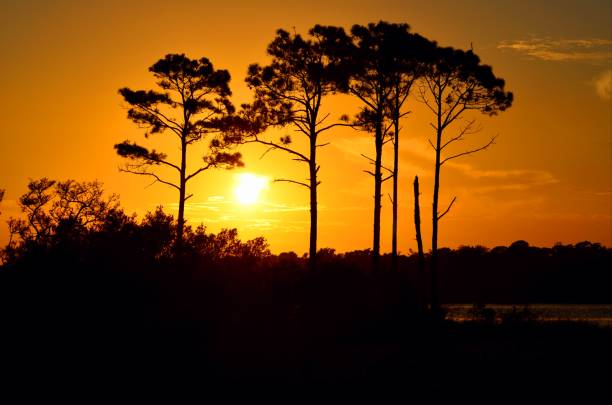 Summer Sunset Summer sunset from a barrier island next to the Intracoastal Waterway, Perdido Key near Florida, Alabama State Line florida us state photos stock pictures, royalty-free photos & images