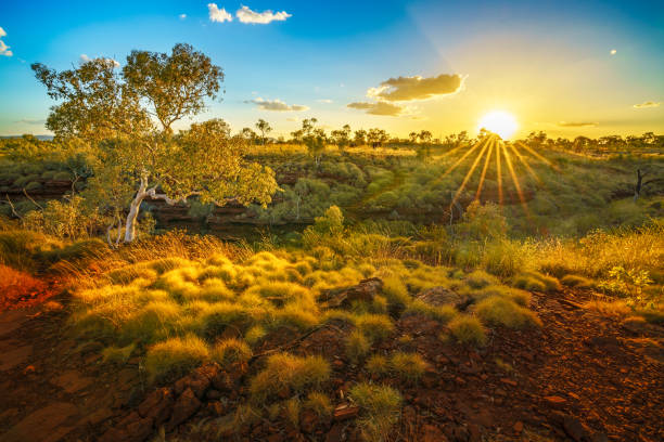 sun at sunset over joffre gorge in karijini national park, western australia 1 sun at sunset over joffre gorge in the desert of karijini national park, western australia bush land photos stock pictures, royalty-free photos & images