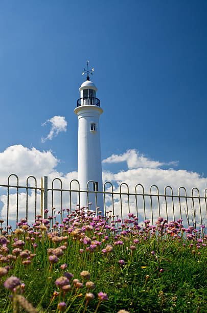 sunderland south pier lighthouse - sunderland 個照片及圖片檔