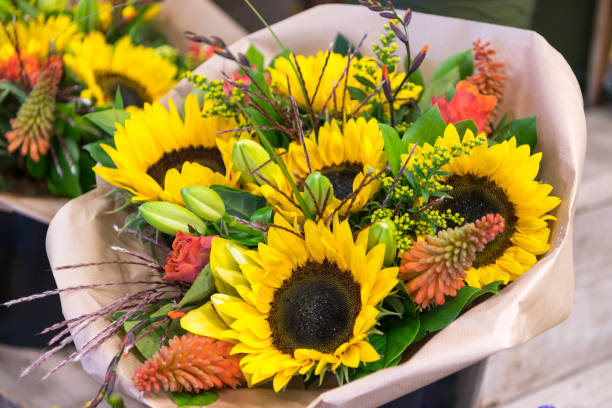 Sunflowers arrangements stock photo