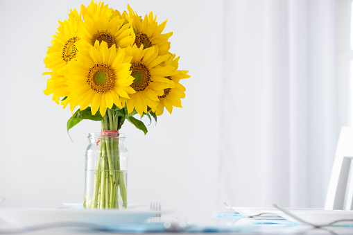 Fresh beautiful daisy sunflowers bouquet in glass vase on white table at home interior. Greeting card with copy space. Spring holidays, Mother`s Day, Women`s International Day, Birthday, Anniversary.