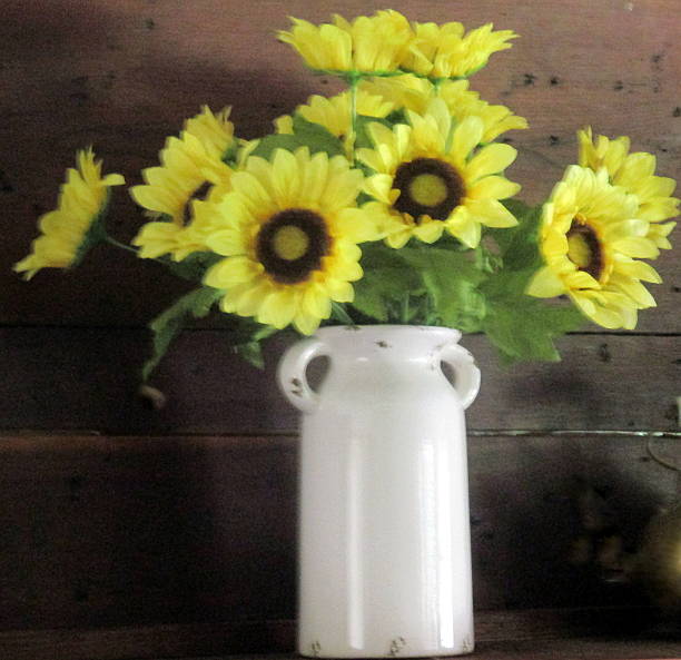 Sunflowers in White Crock Against Rustic Wooden Wall stock photo