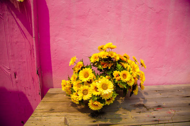 Sunflowers on a table against pink wall stock photo
