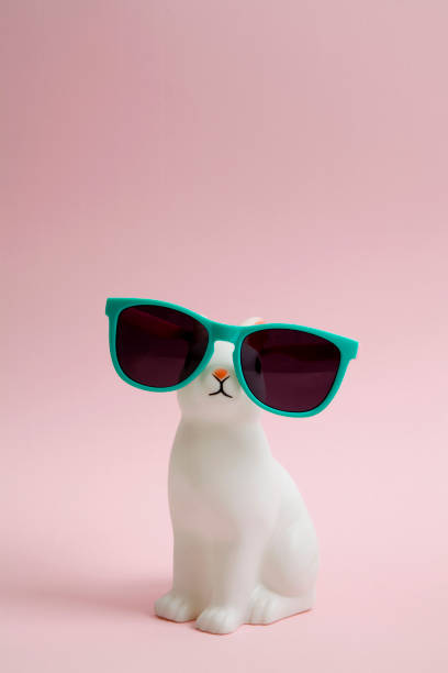 Sunglasses bunny stock photo
