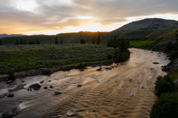 Sunlight Fades Over Yellowstone River Sunlight Fades Over Yellowstone River heading into Lamar valley rough endoplasmic reticulum stock pictures, royalty-free photos & images