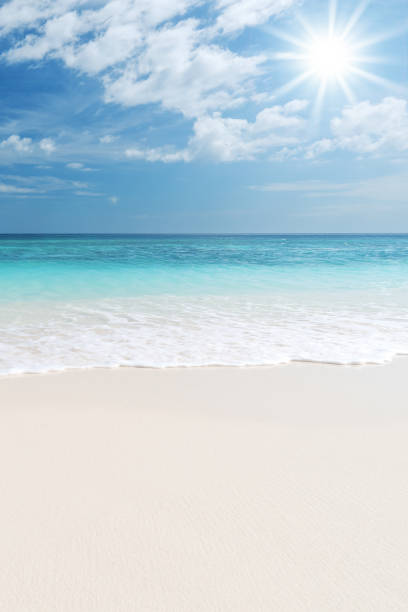 Sunny beach and sea background stock photo