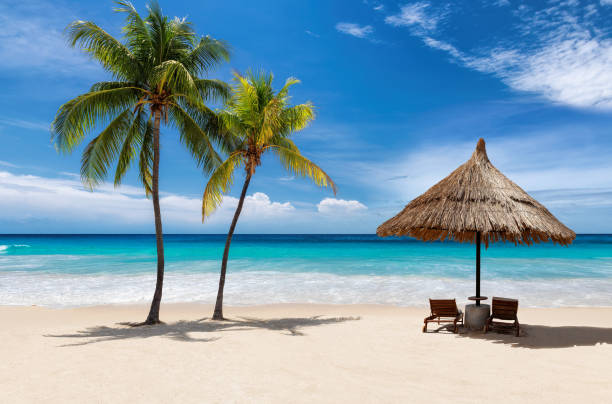 Sunny beach with coco palms and parasol in tropical island Coco palm trees on Sunny beach with and sun umbrella, beach sunbeds, turquoise sea in tropical island. Summer vacation and tropical beach concept. indian ocean stock pictures, royalty-free photos & images