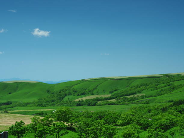 Sunny green land stock photo
