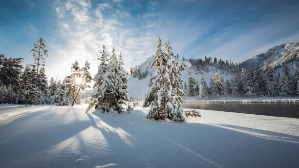 Sunny morning in Yellowstone National park in Winter stock photo